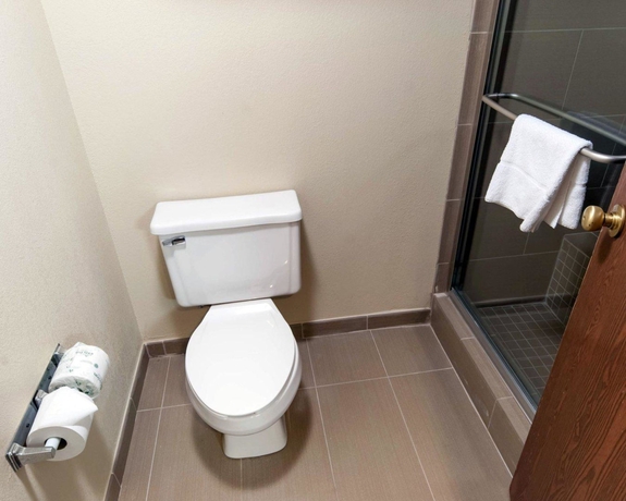 Imagen de la habitación del Hotel Comfort Suites University, Bethlehem. Foto 16