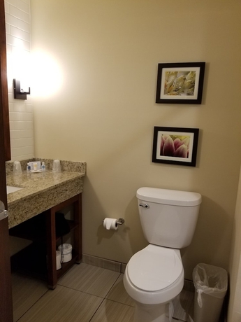 Imagen de la habitación del Hotel Comfort Suites University, Brookings. Foto 15