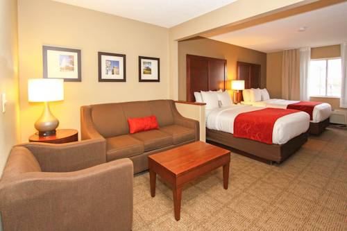 Imagen de la habitación del Hotel Comfort Suites University, Lincoln. Foto 4