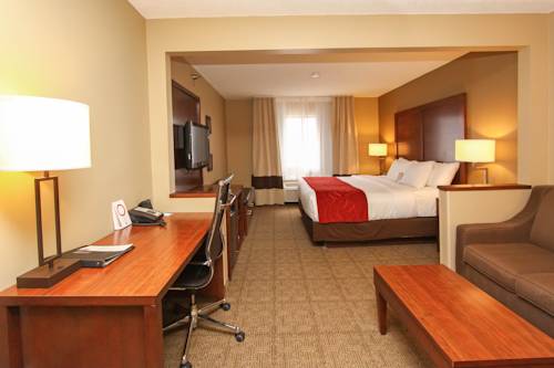 Imagen de la habitación del Hotel Comfort Suites University, Lincoln. Foto 6