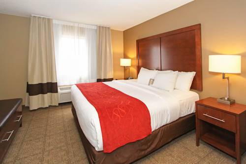 Imagen de la habitación del Hotel Comfort Suites University, Lincoln. Foto 7
