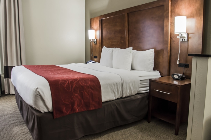 Imagen de la habitación del Hotel Comfort Suites University - Research Park. Foto 7