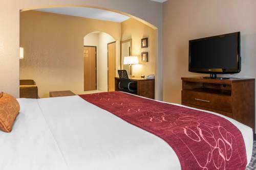 Imagen de la habitación del Hotel Comfort Suites - Vincennes. Foto 10