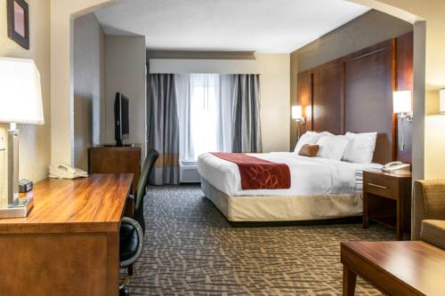 Imagen de la habitación del Hotel Comfort Suites - Vincennes. Foto 11