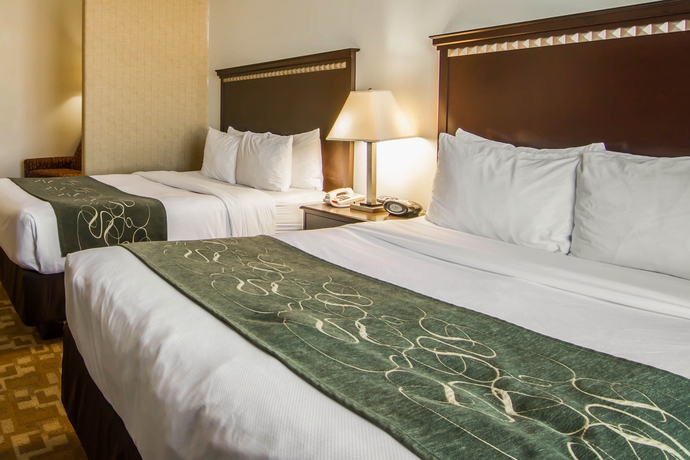 Imagen de la habitación del Hotel Comfort Suites West Dallas - Cockrell Hill. Foto 8