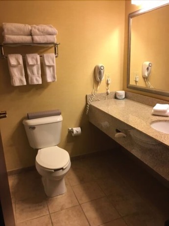 Imagen de la habitación del Hotel Comfort Suites West Indianapolis - Brownsburg. Foto 9