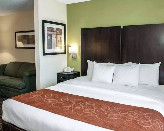 Imagen de la habitación del Hotel Comfort Suites West Indianapolis - Brownsburg. Foto 11