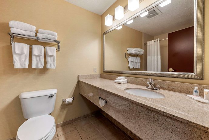 Imagen de la habitación del Hotel Comfort Suites West Indianapolis - Brownsburg. Foto 12