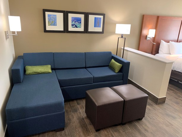 Imagen de la habitación del Hotel Comfort Suites West Monroe Near Ike Hamilton Expo Center. Foto 6