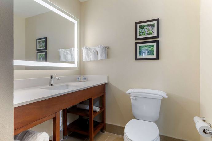 Imagen de la habitación del Hotel Comfort Suites West Monroe Near Ike Hamilton Expo Center. Foto 16