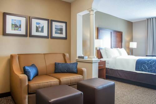 Imagen de la habitación del Hotel Comfort Suites West Warwick - Providence. Foto 14