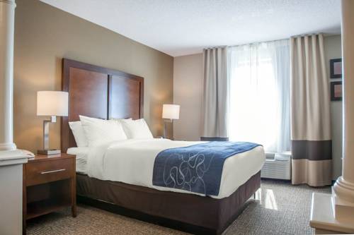Imagen de la habitación del Hotel Comfort Suites West Warwick - Providence. Foto 15