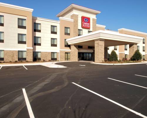 Imagen de la habitación del Hotel Comfort Suites Whitsett - Greensboro East. Foto 2
