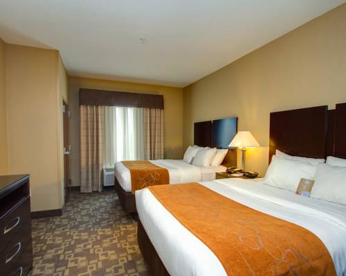 Imagen de la habitación del Hotel Comfort Suites Whitsett - Greensboro East. Foto 6