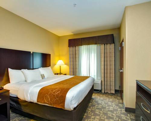 Imagen de la habitación del Hotel Comfort Suites Whitsett - Greensboro East. Foto 7