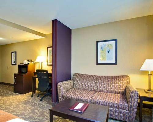 Imagen de la habitación del Hotel Comfort Suites Whitsett - Greensboro East. Foto 8