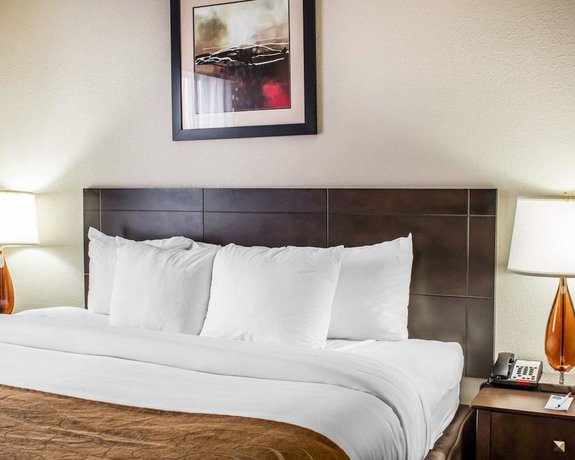 Imagen de la habitación del Hotel Comfort Suites Wilson I-95. Foto 9