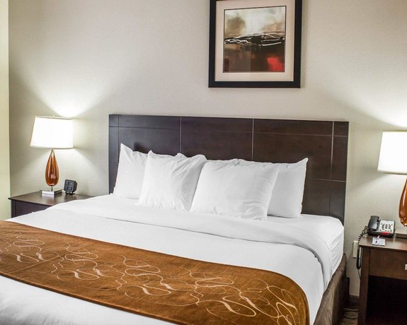 Imagen de la habitación del Hotel Comfort Suites Wilson I-95. Foto 16