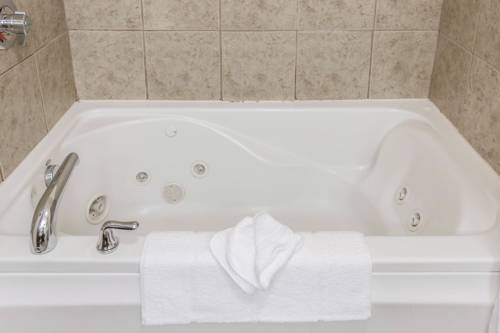 Imagen de la habitación del Hotel Comfort Suites Wixom / Novi. Foto 2