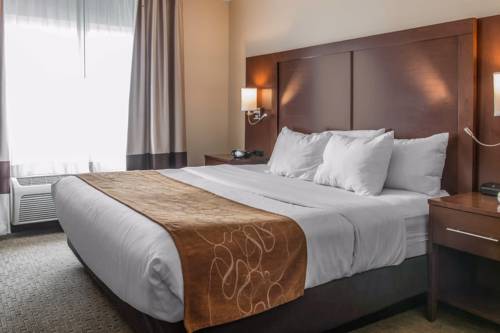 Imagen de la habitación del Hotel Comfort Suites Wixom / Novi. Foto 3