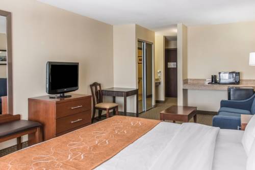 Imagen de la habitación del Hotel Comfort Suites Wixom / Novi. Foto 4