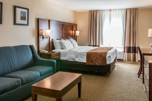 Imagen de la habitación del Hotel Comfort Suites Wixom / Novi. Foto 5