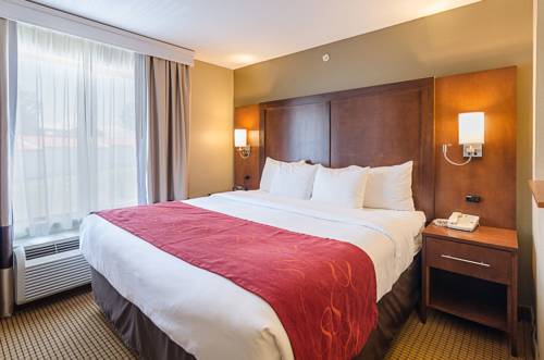 Imagen de la habitación del Hotel Comfort Suites Wytheville. Foto 5