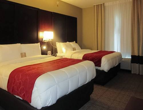 Imagen de la habitación del Hotel Comfort Suites Youngstown North. Foto 2