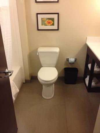 Imagen de la habitación del Hotel Comfort Suites Youngstown North. Foto 6