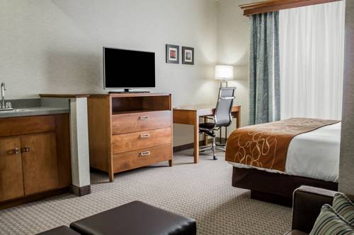 Imagen de la habitación del Hotel Comfort Suites and Conference Center. Foto 3