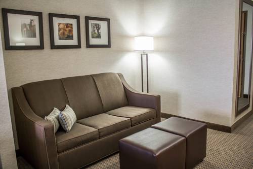Imagen de la habitación del Hotel Comfort Suites and Conference Center. Foto 4