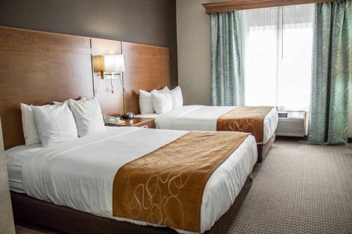 Imagen de la habitación del Hotel Comfort Suites and Conference Center. Foto 6