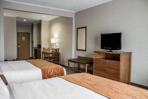 Imagen de la habitación del Hotel Comfort Suites and Conference Center. Foto 7