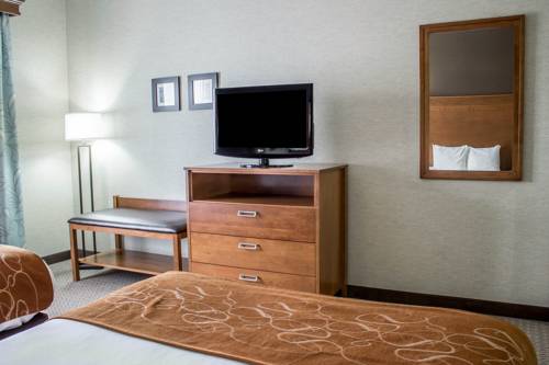 Imagen de la habitación del Hotel Comfort Suites and Conference Center. Foto 8