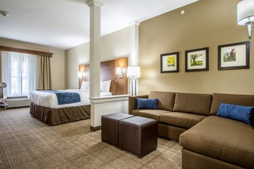 Imagen de la habitación del Hotel Comfort Suites and Conference Center. Foto 9