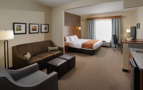 Imagen de la habitación del Hotel Comfort Suites and Conference Center. Foto 11