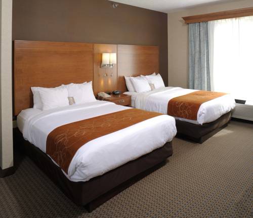 Imagen de la habitación del Hotel Comfort Suites and Conference Center. Foto 12