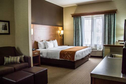 Imagen de la habitación del Hotel Comfort Suites and Conference Center. Foto 13