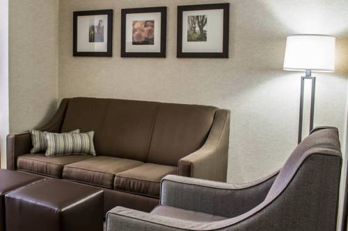 Imagen de la habitación del Hotel Comfort Suites and Conference Center. Foto 15