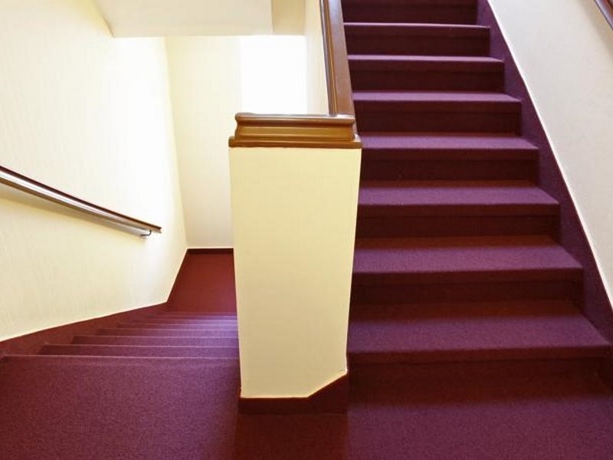 Imagen general del Hotel Comfort Tom Kyle. Foto 4