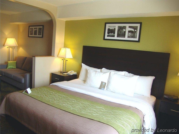 Imagen general del Hotel Comfort and Suites. Foto 9