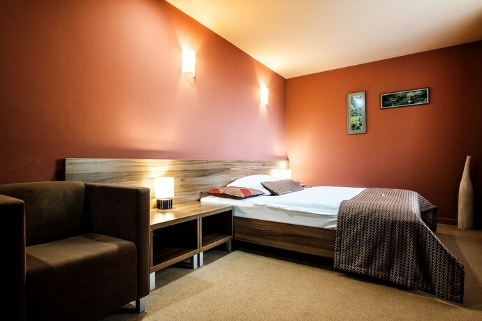 Imagen general del Hotel Comfort with free wellness and fitness Centrum. Foto 3