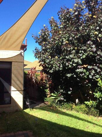 Imagen general del Hotel Comfortable 2 Bedroom With Serene Garden. Foto 12