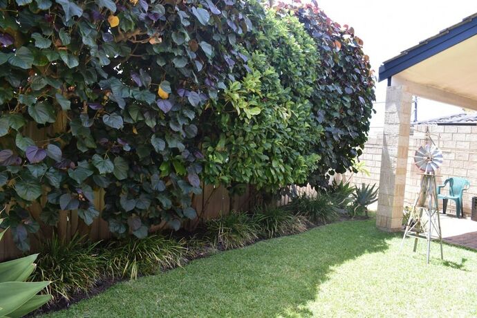 Imagen de los exteriores del Hotel Comfortable 2 Bedroom With Serene Garden. Foto 25