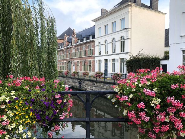 Imagen general del Hotel Comic Art Hotel. Foto 1