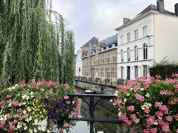 Imagen general del Hotel Comic Art Hotel. Foto 9