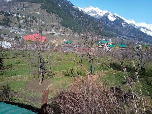 Imagen general del Hotel Comlux, Manali. Foto 1