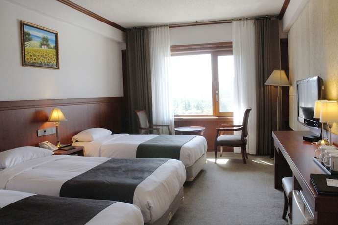 Imagen de la habitación del Hotel Commodore Gyeongju. Foto 16