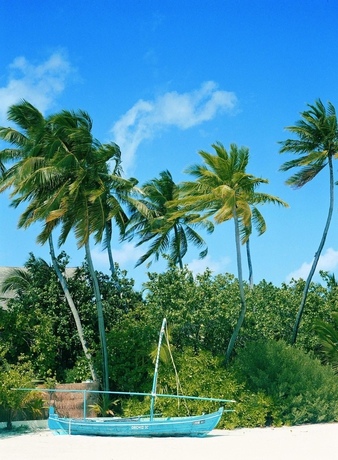 Imagen de los exteriores del Hotel Como Cocoa Island. Foto 15