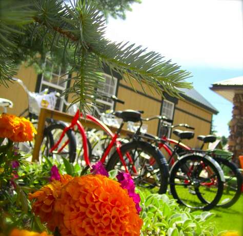 Imagen general del Hotel Compass Rose Lodge. Foto 6